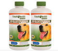 LIQUIDHEALTH K9 Glucosamine for Dogs Hip & Joint Juice Liquid Vitamin, 32 Fl. Oz 2-Pack