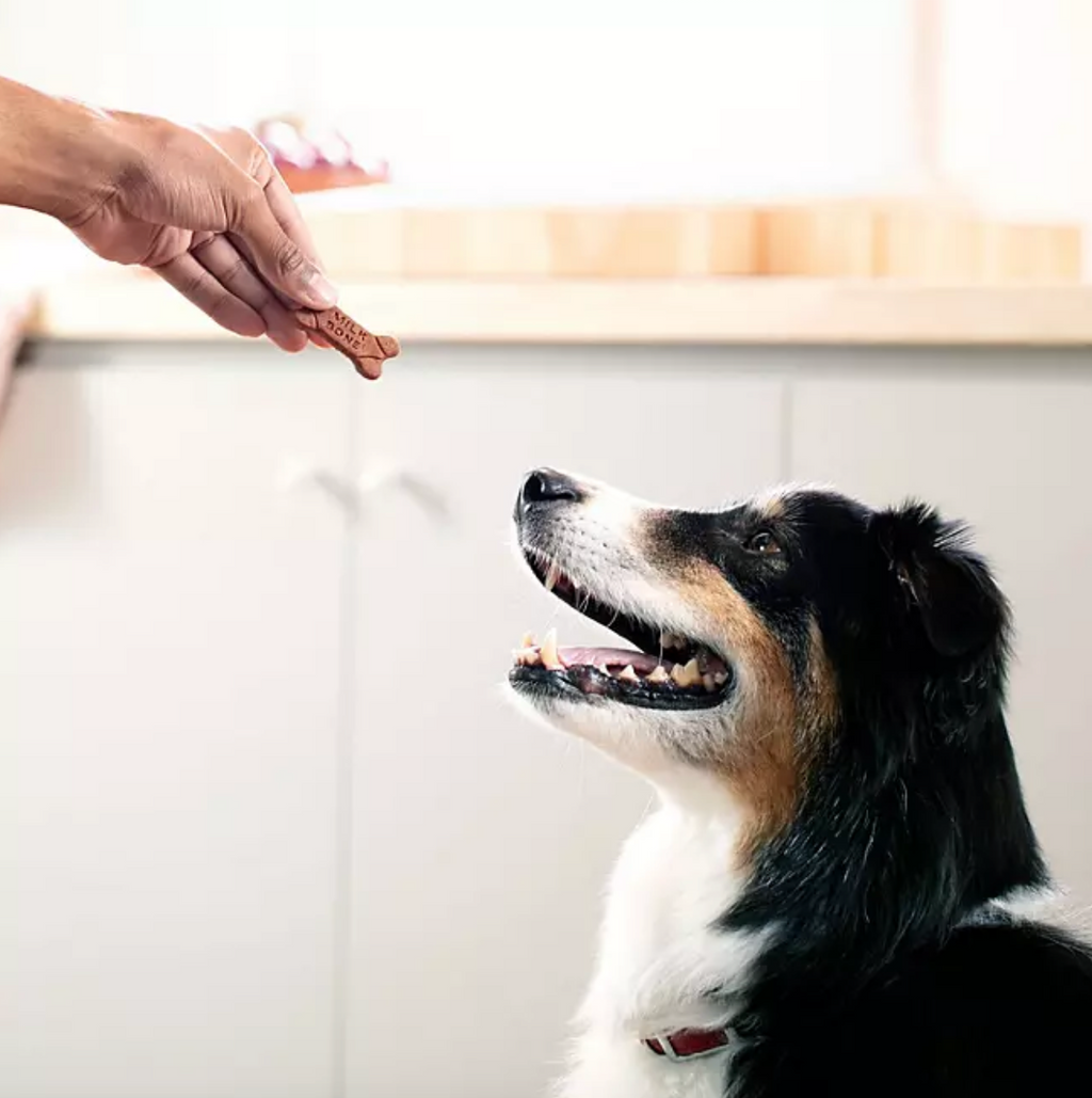 Milk-Bone Soft & Chewy Dog Snacks, Chicken Recipe (37 oz.)