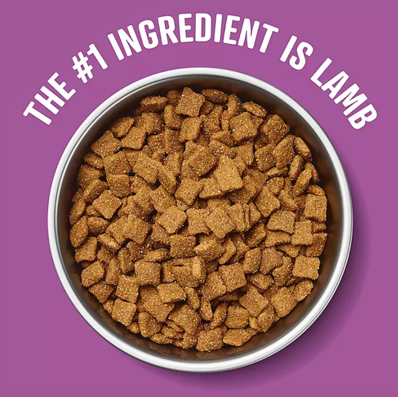 Pasture Raised Lamb + Brown Rice Recipe Dry Dog Food (35 lbs.)