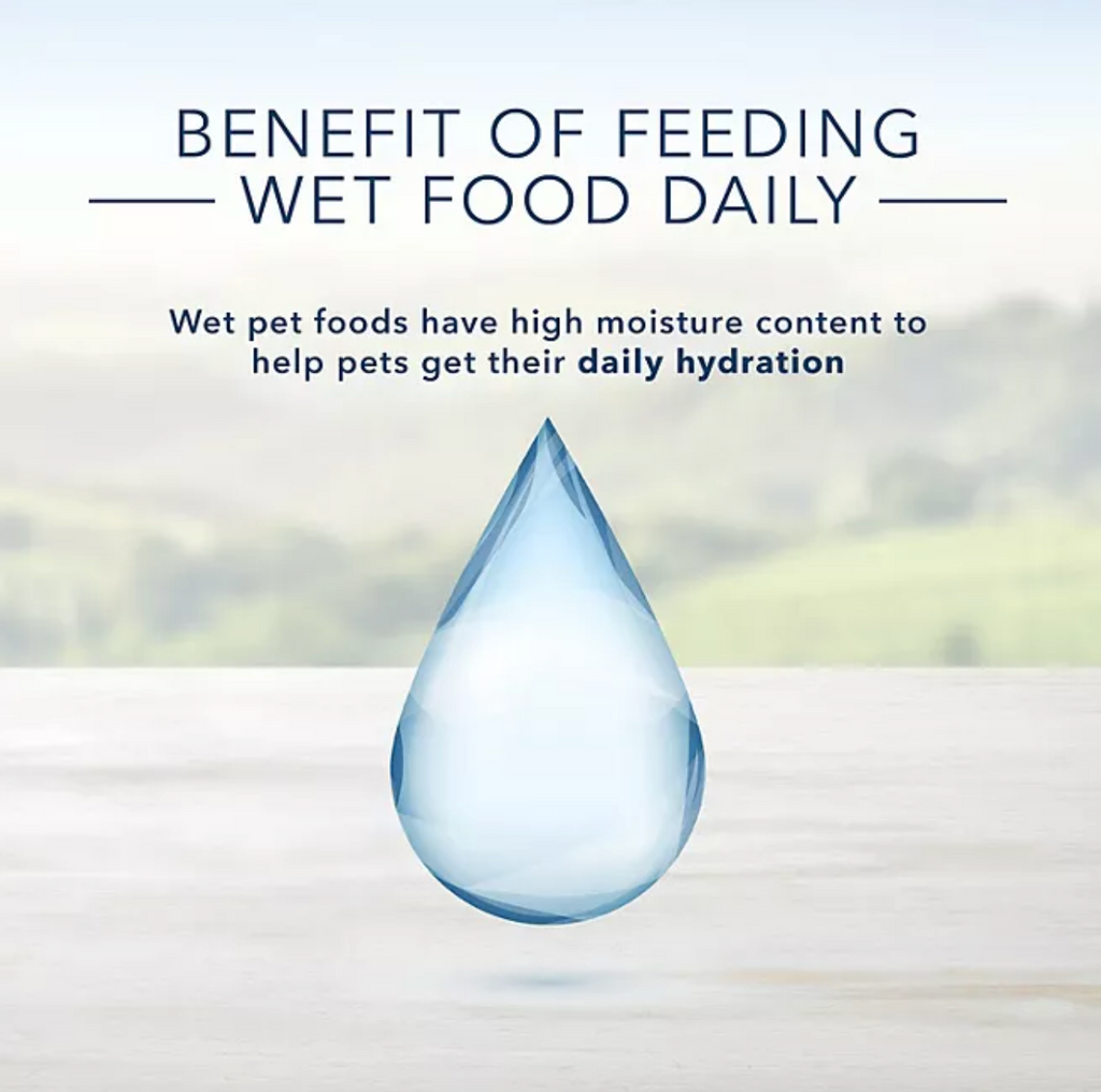 Blue Buffalo Homestyle Recipes Wet Canned Dog Food for Adult Dogs, Variety Pack 12.5 oz., 12 ct.
